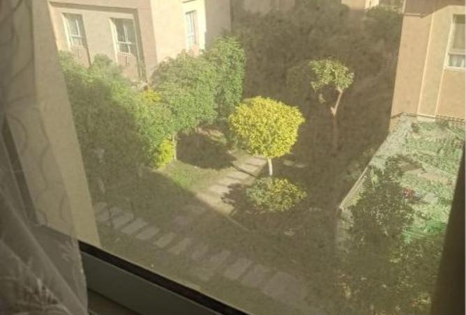 8180679 - صورة العقار 3