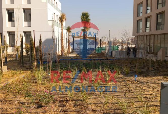 8276633 - Property Image 2