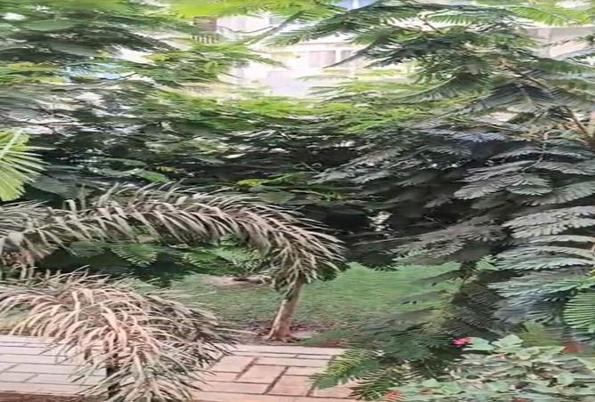 8245876 - صورة العقار 2