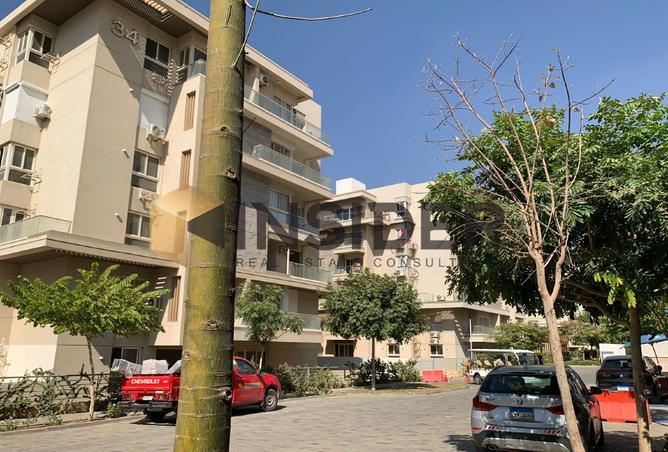 8131408 - Property Image 3