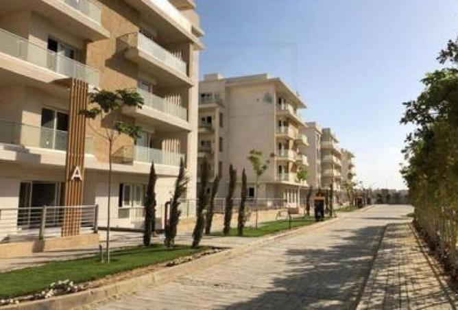 8465889 - Property Image 2