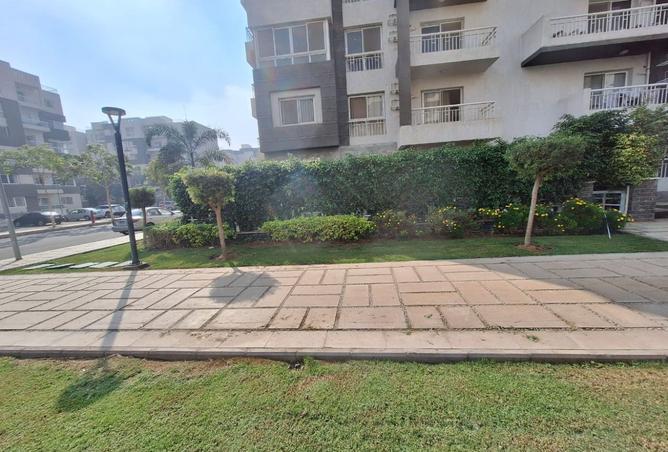 8557024 - Property Image 3