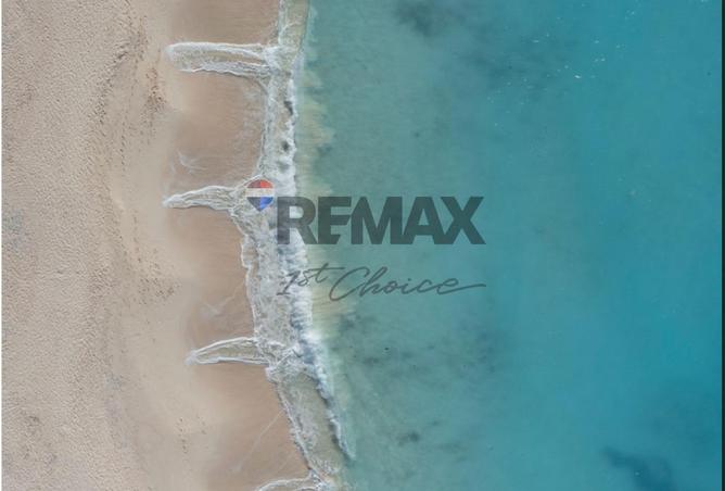 7953720 - صورة العقار 3