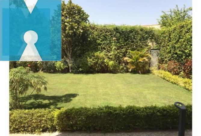 8020835 - الصورة الرئيسية للعقار