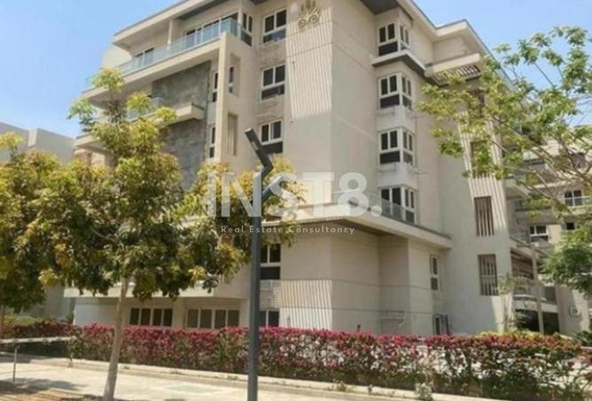 8434432 - Property Image 3