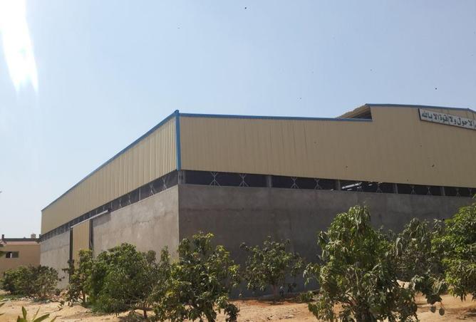 8425149 - صورة العقار 2