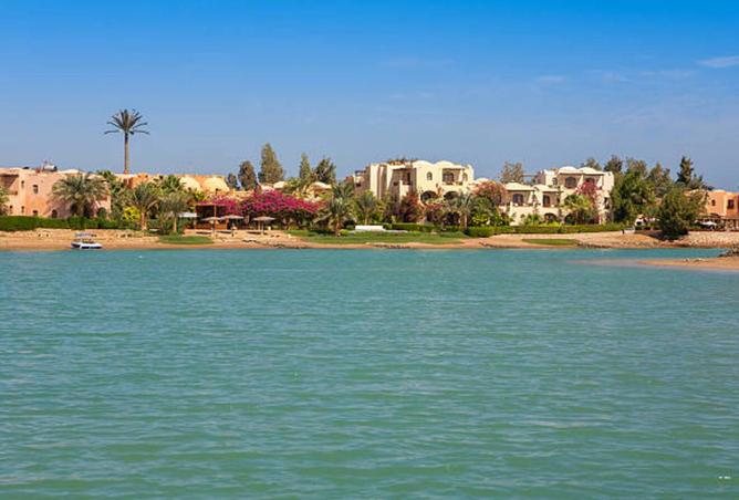 8005407 - صورة العقار 3