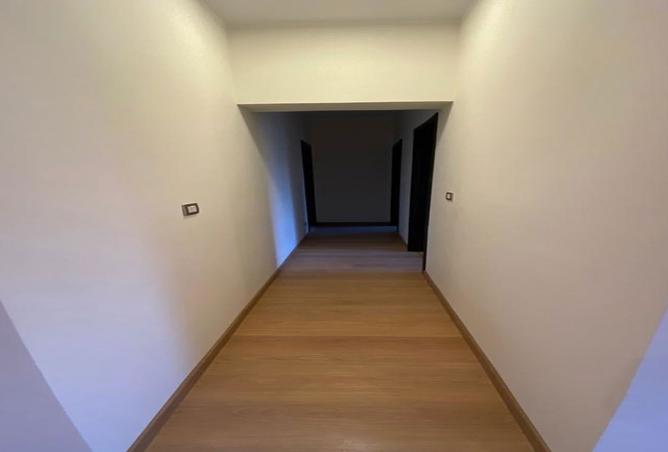 8025359 - Property Image 3