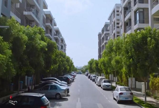 8439132 - Property Image 2