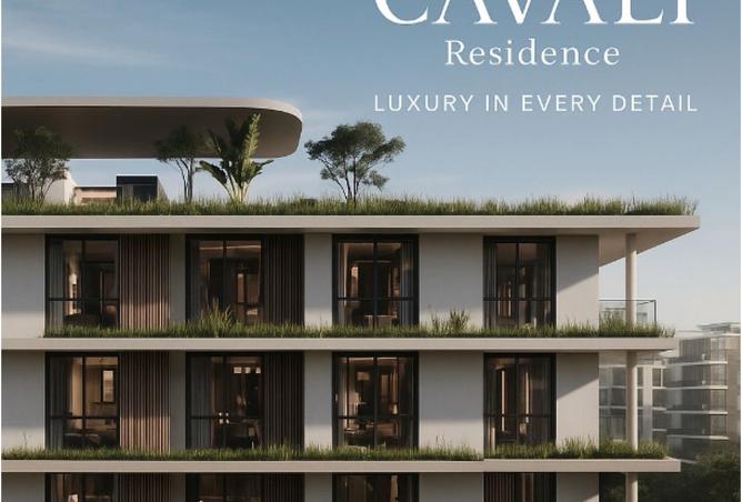 8125771 - Property Image 2