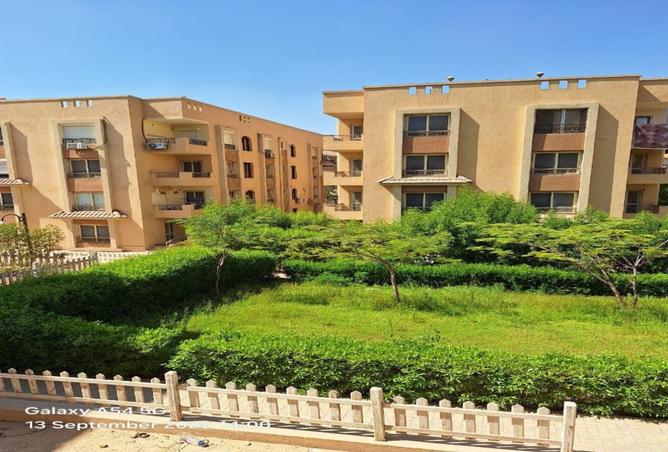 8131316 - الصورة الرئيسية للعقار