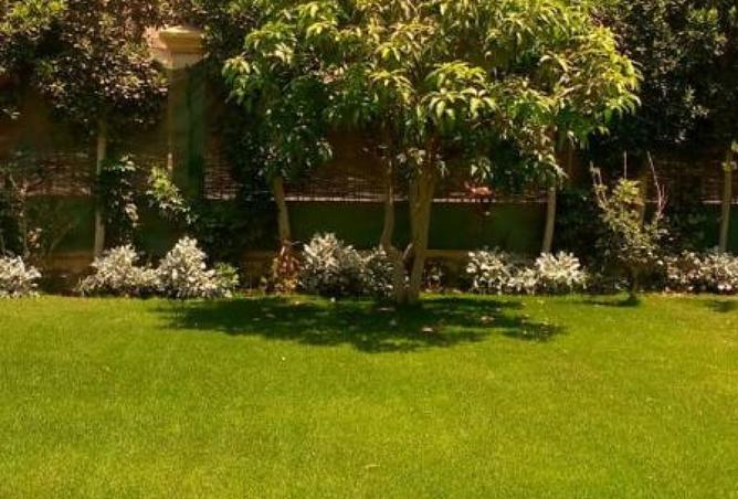 8069050 - Property Image 3