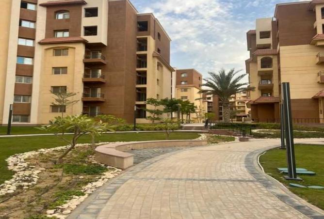 7903097 - Property Image 2