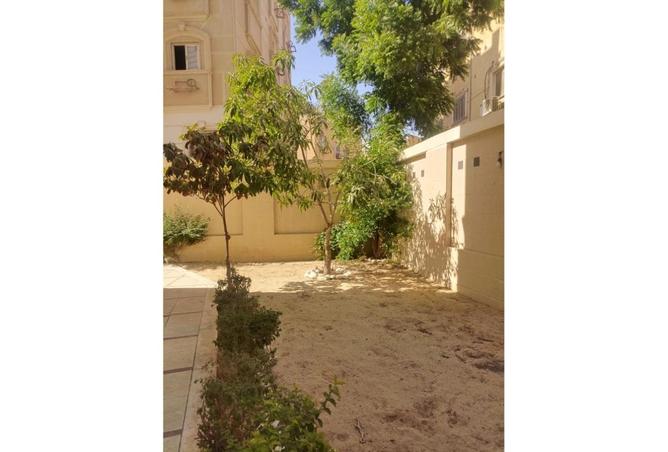 8180754 - Property Image 2