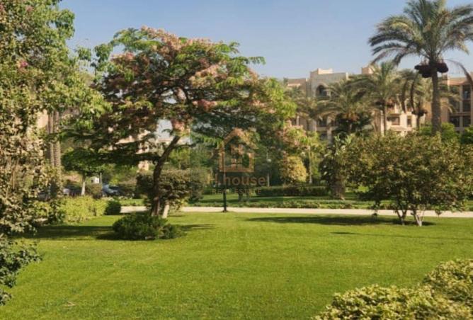 8216035 - صورة العقار 3