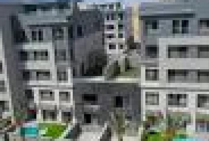 8293835 - Property Image 3