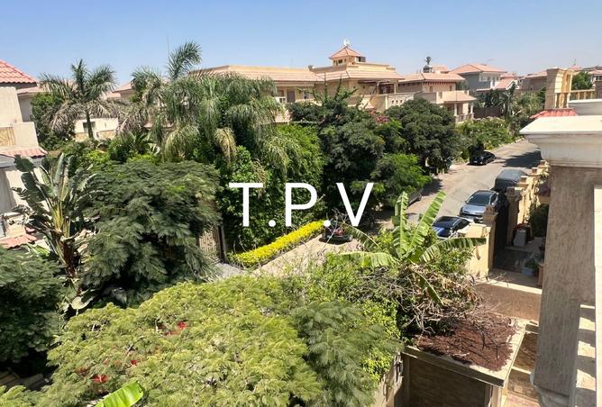 7939503 - صورة العقار 3