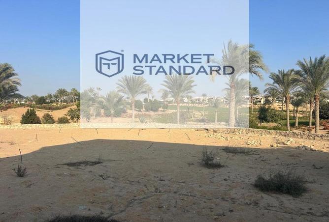 8501018 - Property Image 3