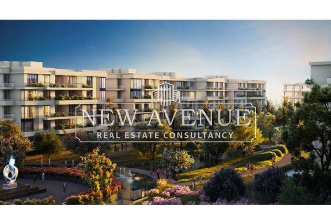 8363201 - Property Image 3