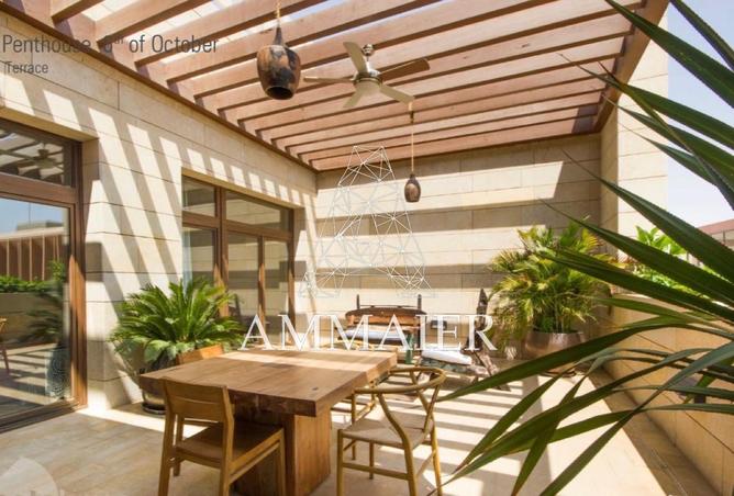 8437893 - Property Image 3