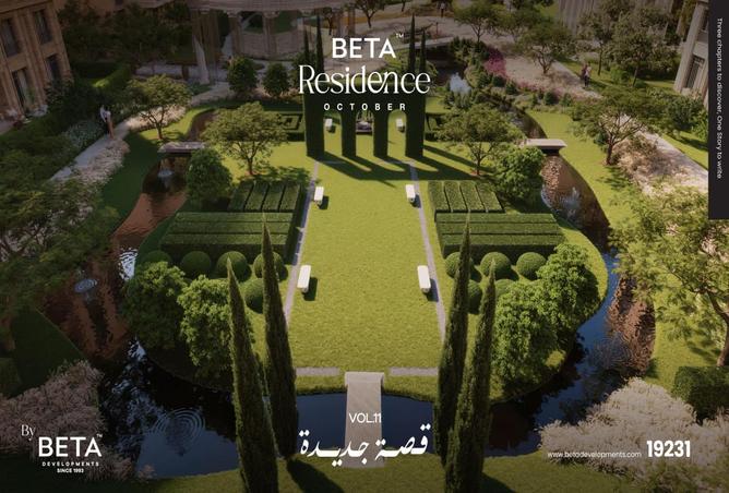 7981474 - صورة العقار 2