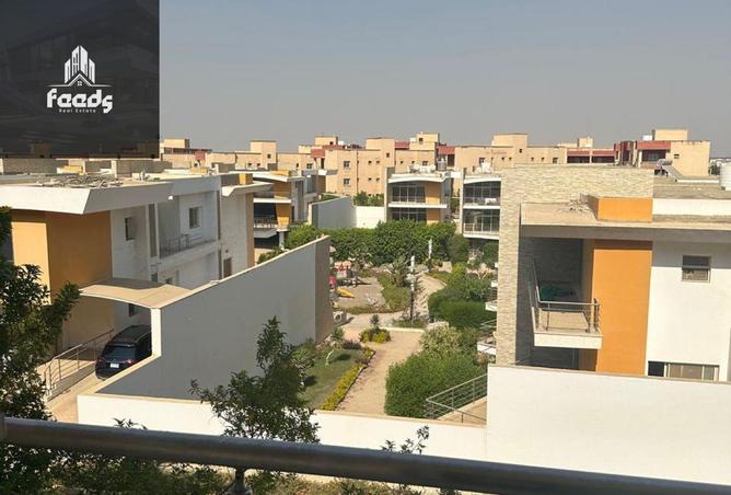 8258353 - صورة العقار 2