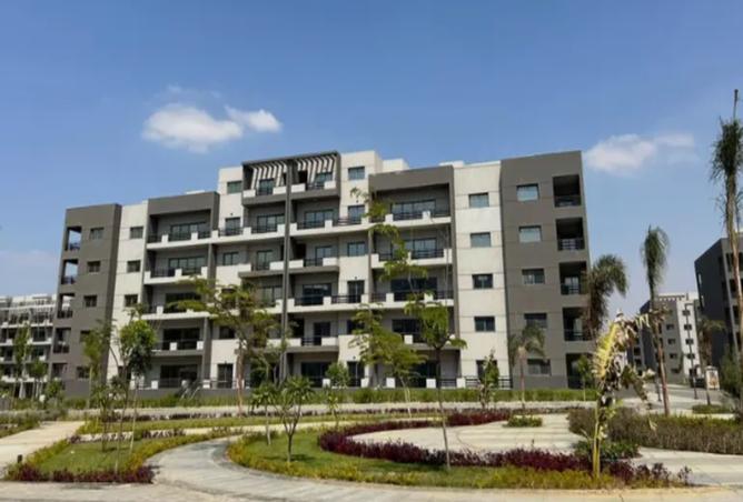 8079269 - Property Image 3