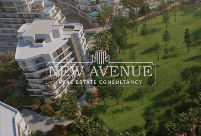 8139902 - Property Image 3