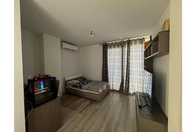 7979266 - Property Image 3
