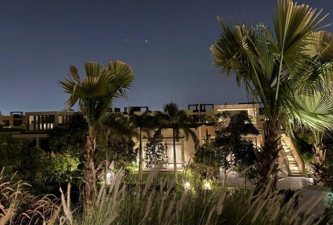 8432318 - Property Image 3