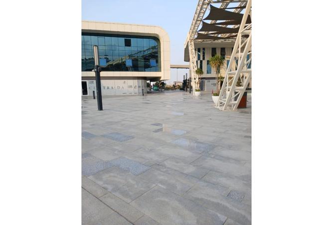 8394985 - Property Image 3