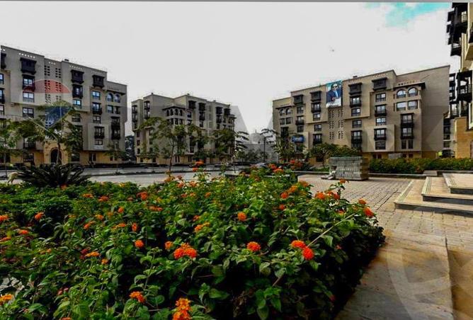 8385858 - Property Image 2