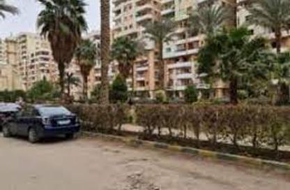 Apartment - 3 Bedrooms - 3 Bathrooms for sale in Al Forsan City - New Maadi - Hay El Maadi - Cairo