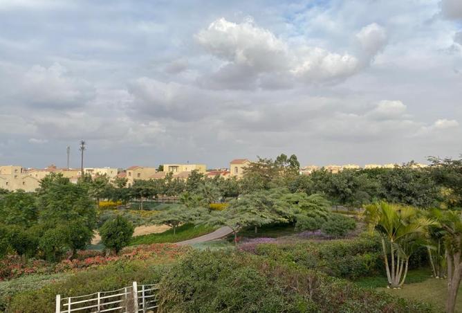 8159777 - صورة العقار 3