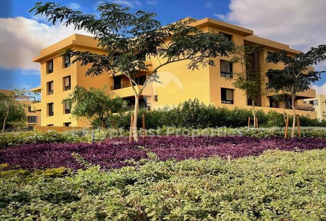 8241604 - الصورة الرئيسية للعقار