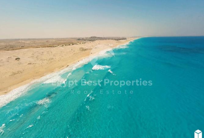 7891629 - Property Image 2