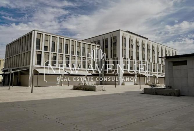 8016684 - Property Image 3