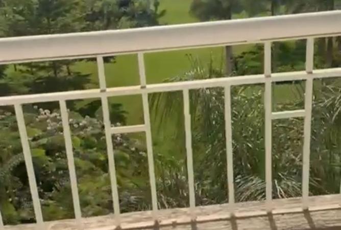 8187667 - Property Image 2