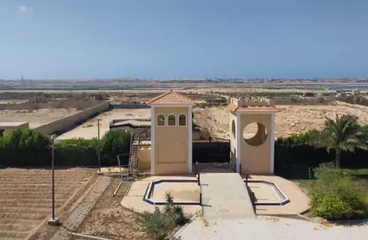 قصر - 8 غرف نوم - 3 حمامات للبيع في برج العرب - مدينة برج العرب - الاسكندرية