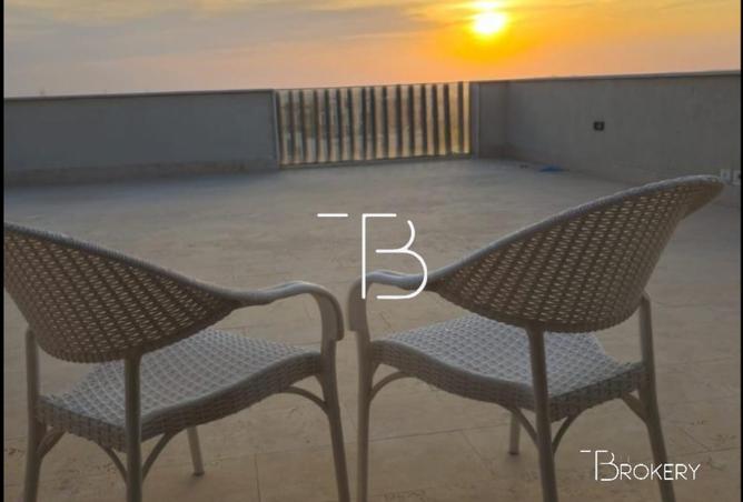 8116028 - Property Image 3