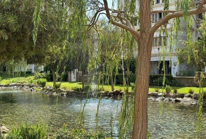 8410665 - Property Image 2