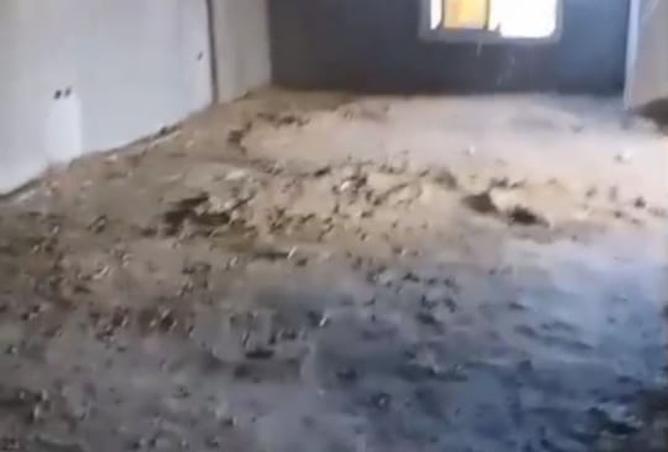 8401390 - Property Image 3