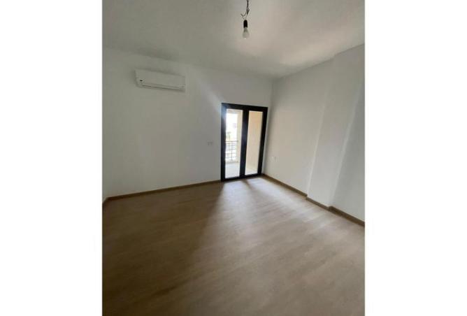 8419803 - Property Image 3