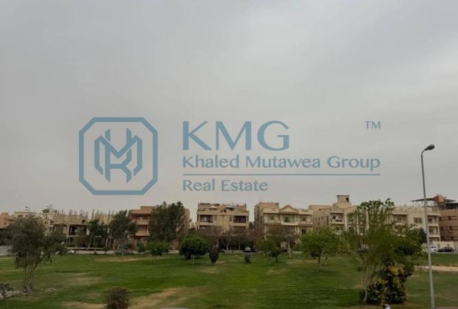 8237292 - Property Image 3