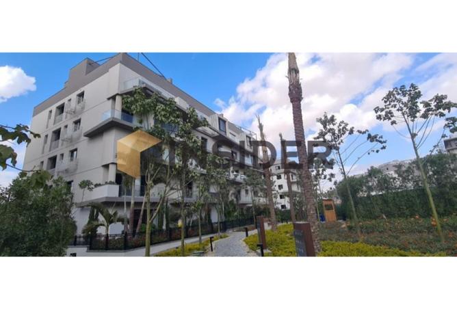 8426039 - الصورة الرئيسية للعقار