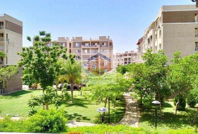 8034233 - الصورة الرئيسية للعقار
