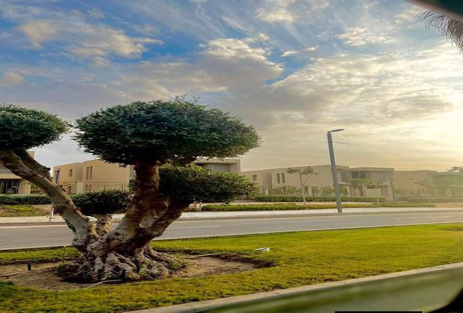 8462325 - صورة العقار 3