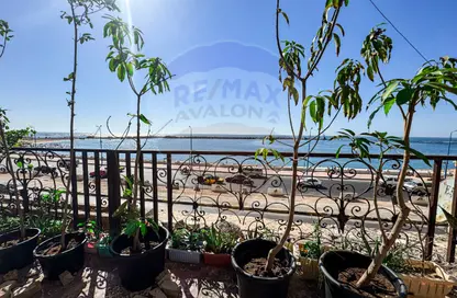 مساحات مكتبية - استوديو - 1 حمام للايجار في طريق الجيش - سيدي بشر - حي اول المنتزة - الاسكندرية