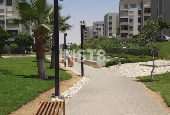 8491497 - Property Image 3