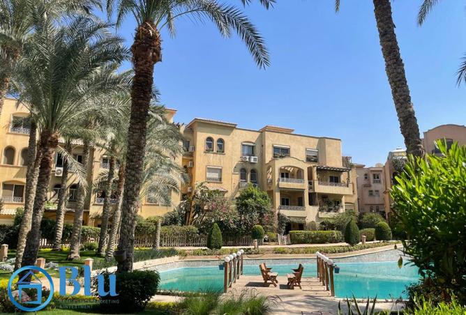7930433 - Property Image 3